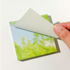 Easy Tear Off - Mingkit Tree Photo Non-Sticky Memo Pad