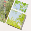 Aesthetic Tree Photo - Mingkit Tree Photo Non-Sticky Memo Pad