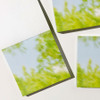 Non-Sticky - Mingkit Tree Photo Non-Sticky Memo Pad