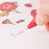 0.5mm Tip - Appree Rose Anti-Roll 0.5mm Gel Pen