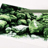 Green Ink - Appree Moss Anti-Roll 0.5mm Gel Pen