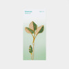 Appree Banana Leaf Metal Bookmark with Chain