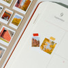Included Color Tabs - Mingkit Autumn Instant Photo Removable Sticker