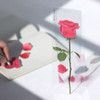 Red rose sticky memo notes