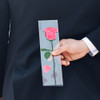 Red rose sticky memo notes