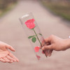 Red rose sticky memo notes