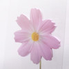 Pink cosmos sticky memo notes