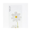White cosmos sticky memo notes