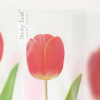 Appree Pink tulip sticky memo notes