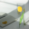 Appree Yellow tulip sticky memo notes