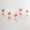 Appree Red poppy sticky memo notes