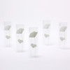 Appree White poppy sticky memo notes