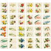 Composition of Nacoo Flower small label sticker set