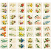 Pack of 96 stickers - Nacoo Flower Mini Label Sticker Pack