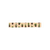 Masking tape single - Succulent 