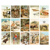 Pack of 24 cards - Nacoo Nature Animal Postcard Pack