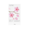 Pink - Appree Cherry blossom magnet set 