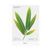 Green - Appree Bamboo leaves bookmark black ballpoint pen set 
