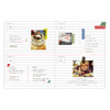 Daily plan - Day N zoo undated daily planner