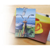 Bookfriends Save polar bears steel bookmark 