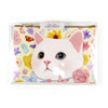 Package for Choo Choo cat slim zipper pouch