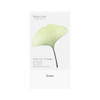 Green - Ginkgo leaf transparent sticky memo notes Small 