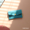 Turkey blue - Wanna be chamude flat pocket card case