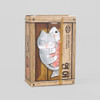 NACOO Salmon Label Sticker Pack