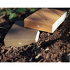 Earth, Forest, Night small lined and plain notepad