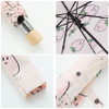 Life studio automatic foldable pattern umbrella 