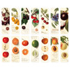 Composition of Fruits bookmark set