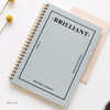 Gray sky - Brilliant spiral undated weekly diary scheduler