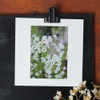 Square 4X6 White paper photo frame set