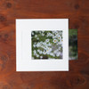 Square 4X6 White paper photo frame set