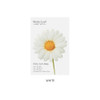 White - Daisy small sticky memo notes