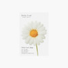 Daisy small sticky memo notes