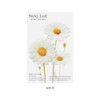 White - Daisy Medium sticky memo notes