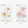 Option - Daisy Medium sticky memo notes