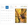 Monthly calendar - 2018 Aeppol illustration desk calendar 