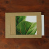 Square 5X7 Kraft paper photo frame set of 15 sheets