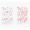 Appree Gypsophila press flower deco sticker