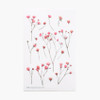 Gypsophila press flower deco sticker