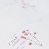 Gypsophila press flower deco sticker