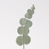 Appree Eucalyptus press flower deco sticker