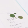 Eucalyptus press flower deco sticker