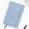 Pale blue - 2019 Brilliant dated 396 daily planner