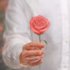Appree Rose small sticky memo notes