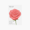 Red - Appree Rose small sticky memo notes