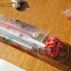 Example of use - Moons friends flower clear folding pencil case