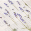 Appree Lavender press flower deco sticker